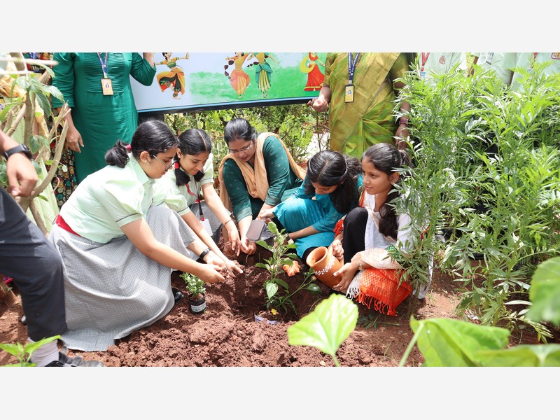 World Environment Day 2025
